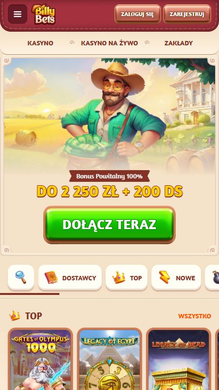 Strona główna bukmachera billybets
