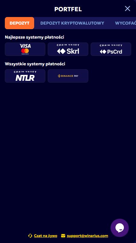 Sekcja metod płatności w Winarius