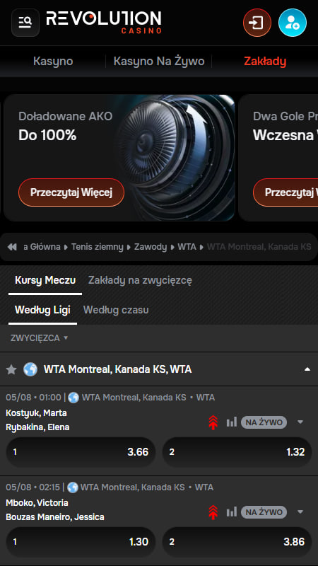 Revolution Casino Podstawowe informacje
