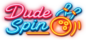 DudeSpin Logo