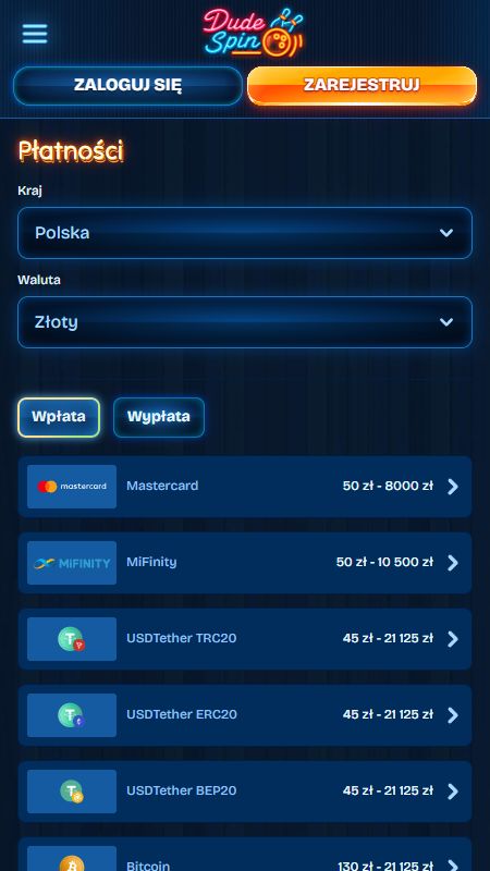 Sekcja metod płatności w DudeSpin