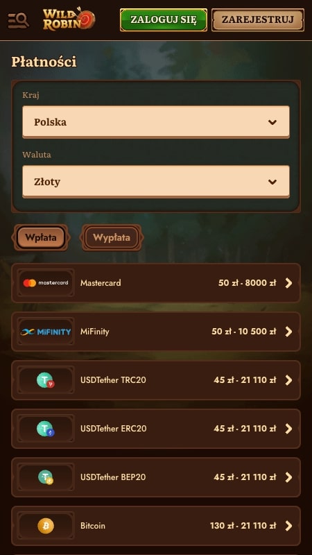 Metody płatności w WildRobin