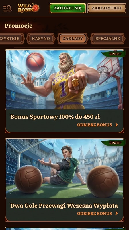 Bonusy i promocje w WildRobin