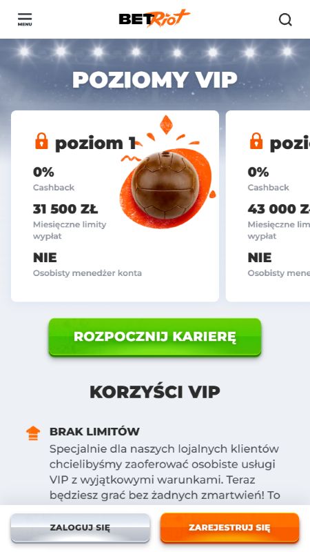 Sekcja VIP Betriot