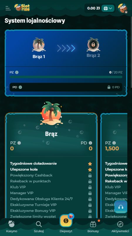 Sekcja VIP Slotrize