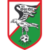 Sokol Kleczew - Logo
